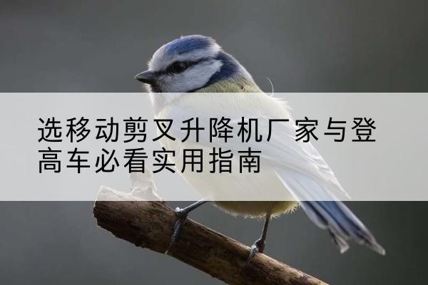 余江电动升降机厂家-选移动剪叉升降机厂家与登高车必看实用指南
