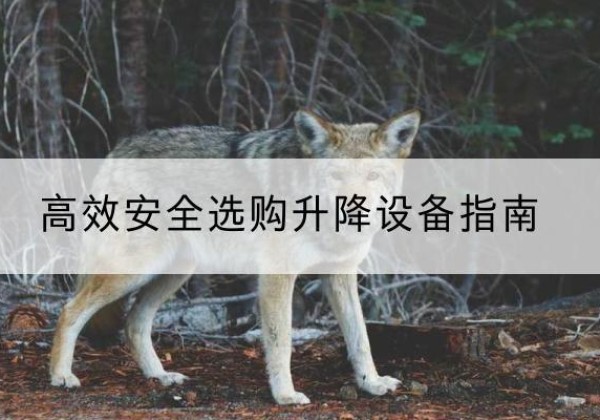 余江升降货梯厂家推荐-*安全选购升降设备指南