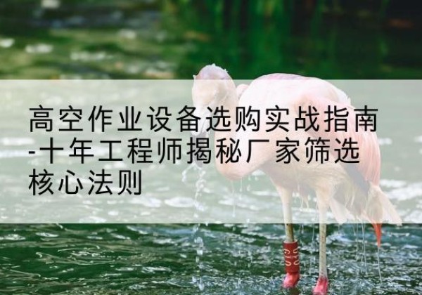 余江剪叉式升降机厂家-高空作业设备选购实战指南-十年工程师揭秘厂家筛选核心法则
